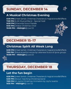 33333333333333333333